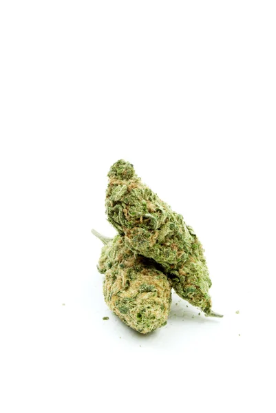 Marihuána és a cannabis, fehér háttér — Stock Fotó