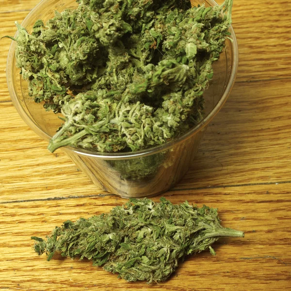 Marihuana — Stockfoto