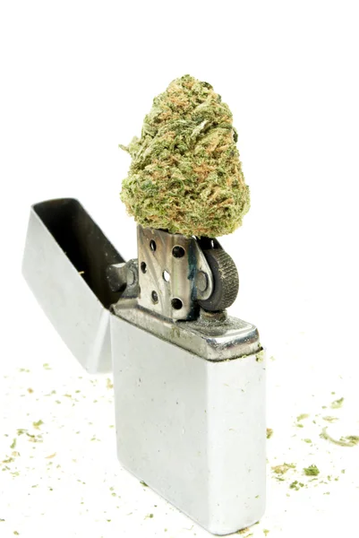 Marihuana — Stockfoto