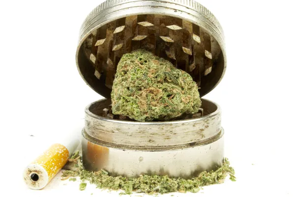 Marijuana — Stock Photo, Image