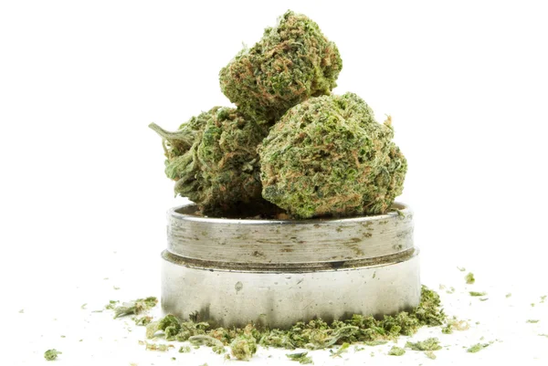 Marihuana – stockfoto