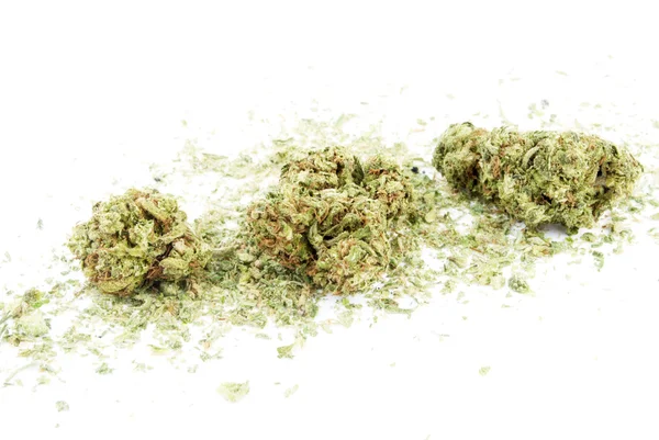 Marihuana — Stockfoto