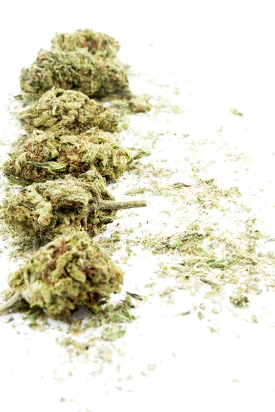 Marihuana — Stockfoto