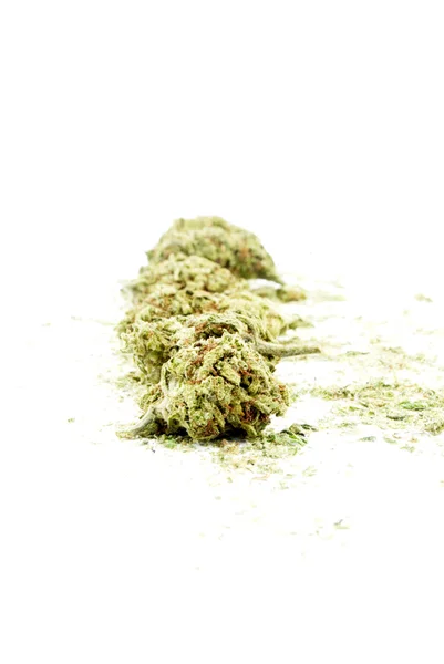 Marihuana — Stockfoto