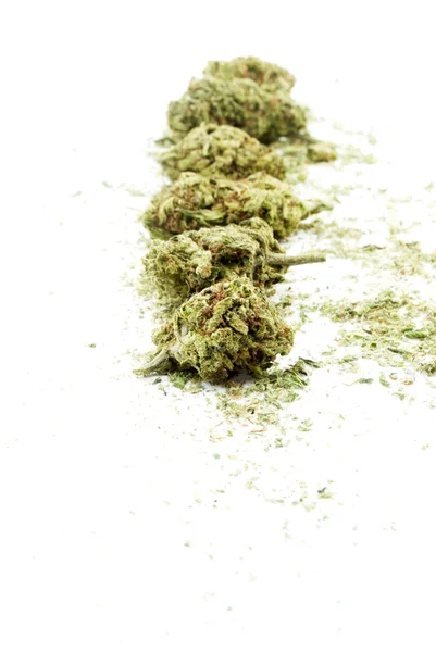 Marihuana — Stockfoto