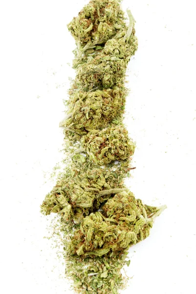 Marihuana — Stockfoto