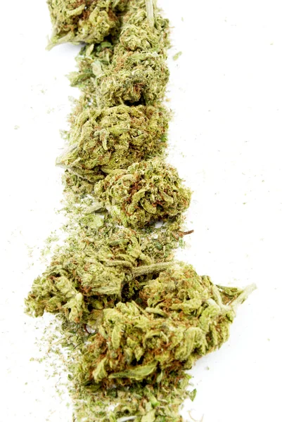 Marijuana — Photo