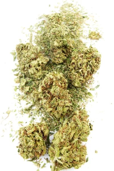 Marijuana — Stock Photo, Image