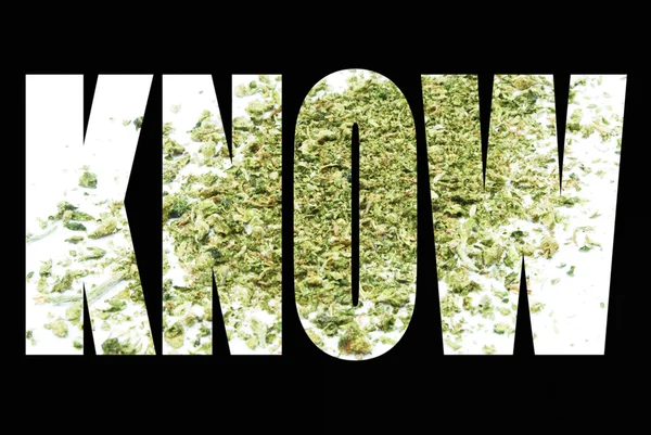 Informationen über Marihuana, wissen — Stockfoto