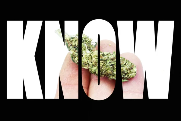 Marijuana Information, Savoir — Photo