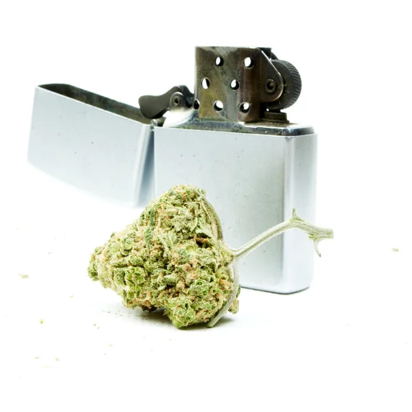 Marijuana Background — Stock Photo, Image