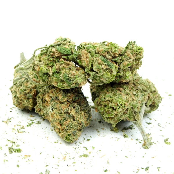 Sfondo marijuana — Foto Stock