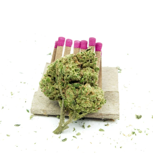 Marijuana bakgrund — Stockfoto