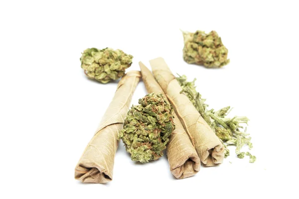 Marijuana — Stock Photo, Image