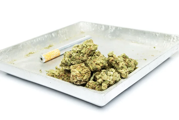 Marihuana — Stockfoto