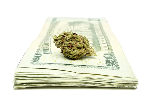 Marijuana and Money — Stock Photo, Image