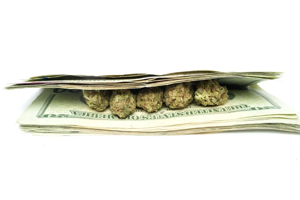 Marihuana y dinero — Foto de Stock