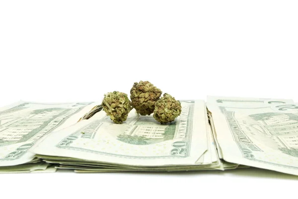 Marihuana en geld — Stockfoto