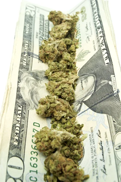 Marijuana and Money — Stock Photo, Image