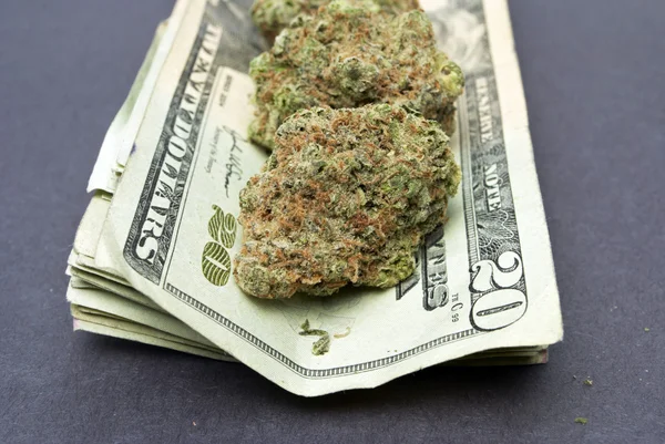 Marihuana und Geld — Stockfoto