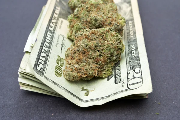 Marijuana and Money — Stock Photo, Image