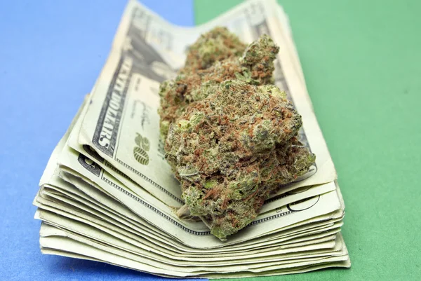 Marihuana en geld — Stockfoto