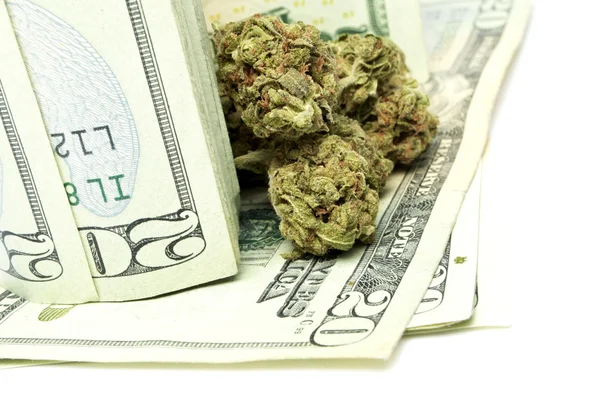 Marijuana and Money — Stock Photo, Image