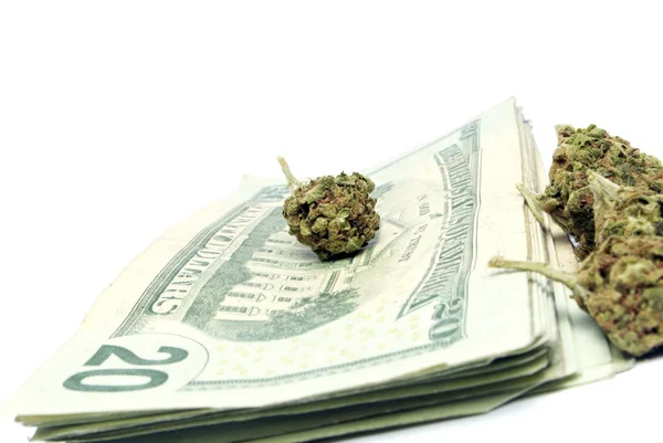 Marihuana en geld — Stockfoto