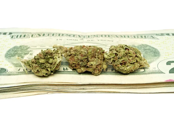 Marijuana och pengar — Stockfoto