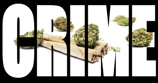 Marijuana Crime — Stock Photo, Image