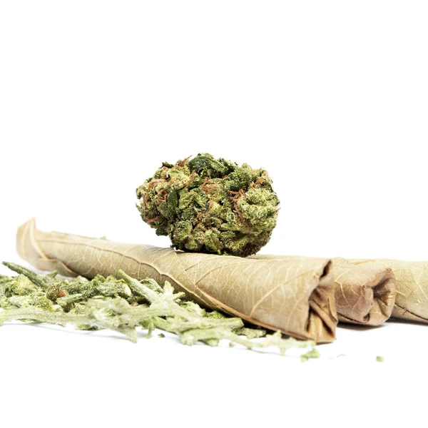 Maconha — Fotografia de Stock