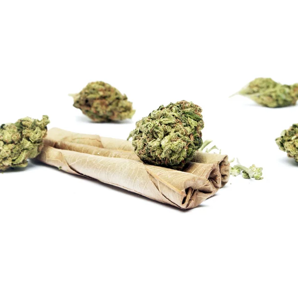 Marijuana — Stock Photo, Image