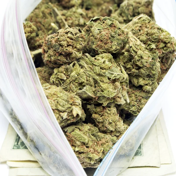 Marijuana — Stock Photo, Image