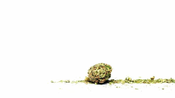 Legalizzazione Della Marijuana Della Cannabis Oggetti Sfondo Bianco Erba Medica — Foto Stock