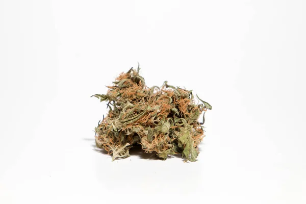 Maconha Botões Cannabis Fundo Branco — Fotografia de Stock
