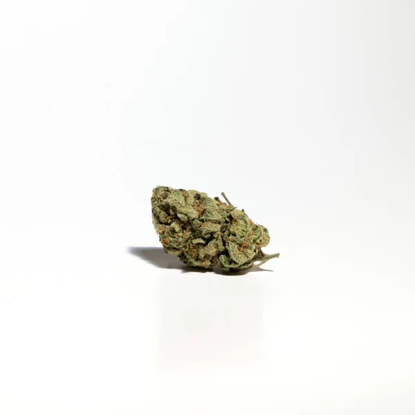 Marihuanové Pupeny Bílém Pozadí — Stock fotografie
