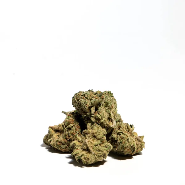 Marihuana Brotes Cannabis Cerca — Foto de Stock