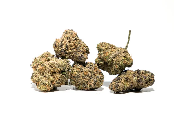 Cannabis Buds Isolated White Background — Stock Photo, Image