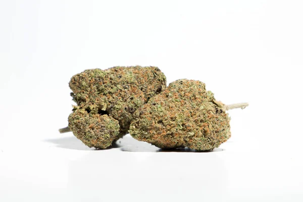 Beyaz arka planda esrar ve esrar tomurcukları