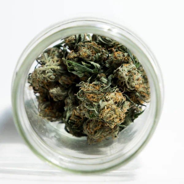 大麻和大麻芽在白色背景上的玻璃罐子里 — 图库照片