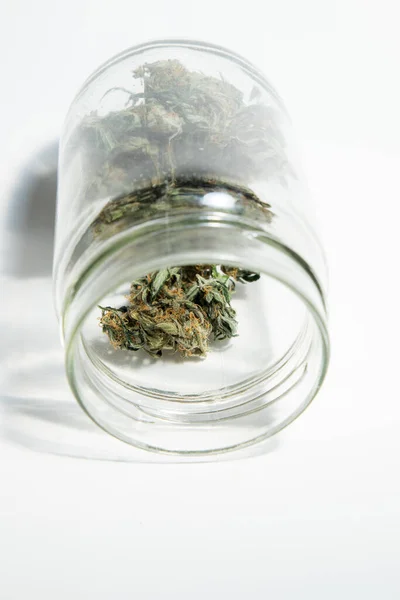 Marihuana Konopí Pupeny Bílém Pozadí — Stock fotografie