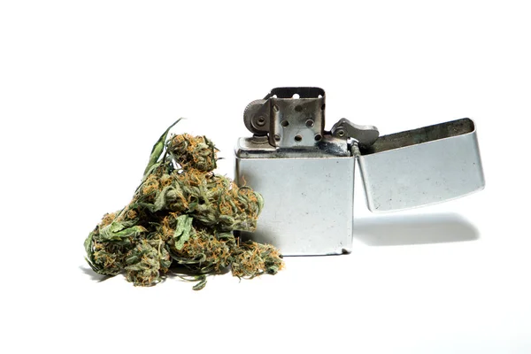 Marijuana Médicale Bourgeons Cannabis Sur Fond Blanc — Photo
