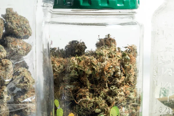 Marihuana Medicinal Cogollos Cannabis Frascos Vidrio — Foto de Stock