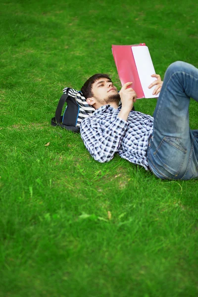 Vakantie in het park op het gras — Stockfoto