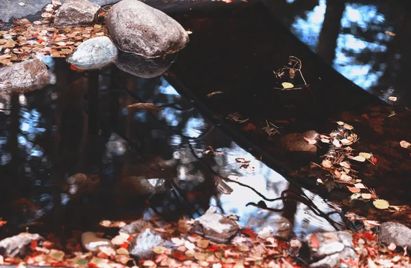 Paesaggio d'autunno — Foto Stock