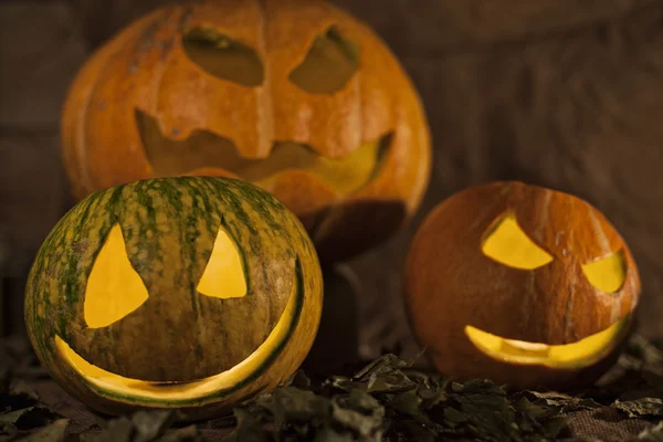 Three pumpkins on Halloween — Stock Photo, Image