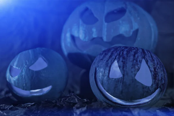 Three pumpkins in the moonlight — Stock Photo, Image