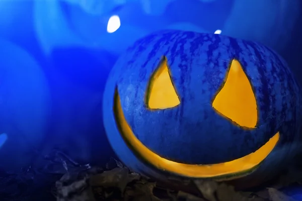 Smiling pumpkin in the moonlight — Stock Photo, Image