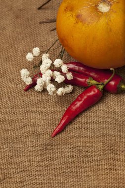 Tuval üzerinde hasat