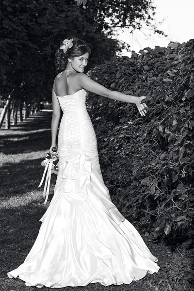 Retrato preto e branco da noiva — Fotografia de Stock